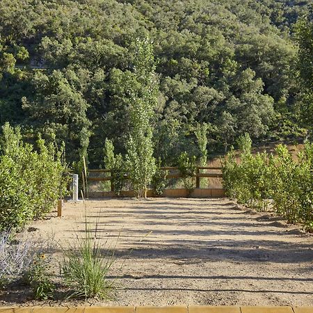 Pola Giverola Camp Тоса де Мар Екстериор снимка