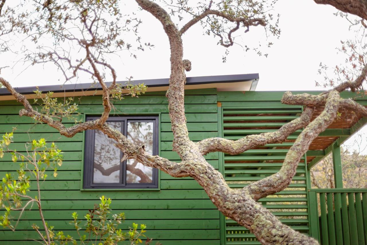Pola Giverola Camp Тоса де Мар Екстериор снимка