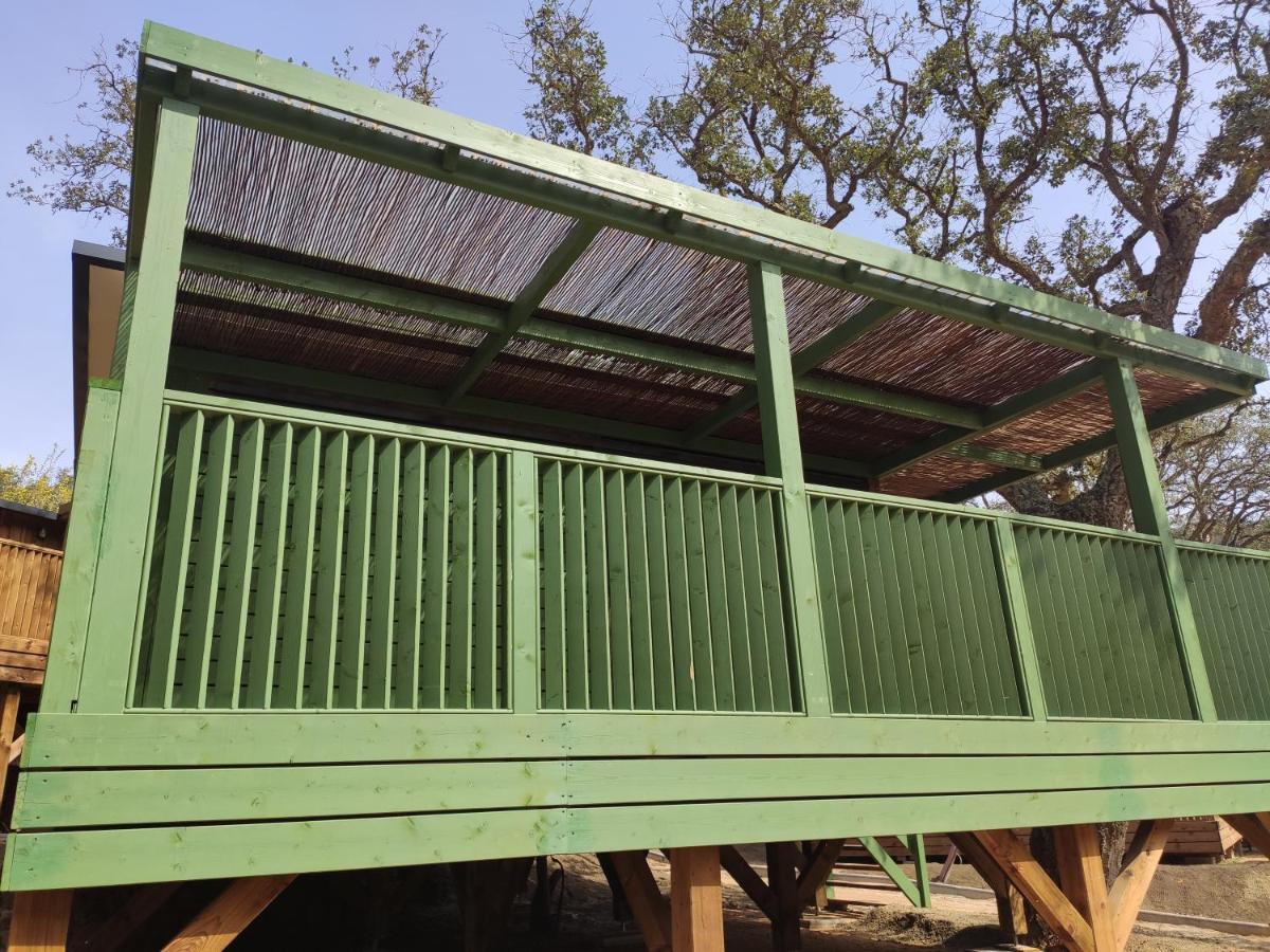 Pola Giverola Camp Тоса де Мар Екстериор снимка