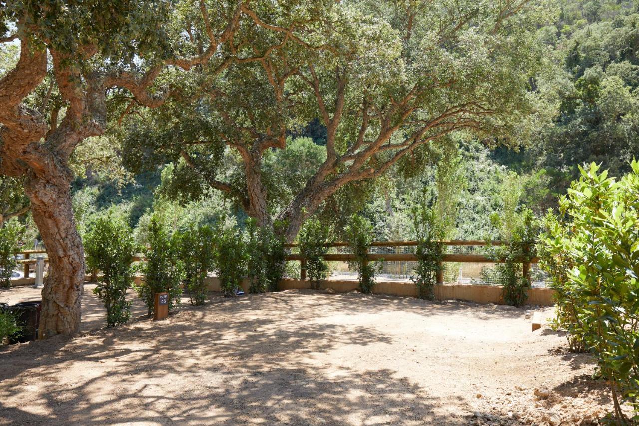 Pola Giverola Camp Тоса де Мар Екстериор снимка