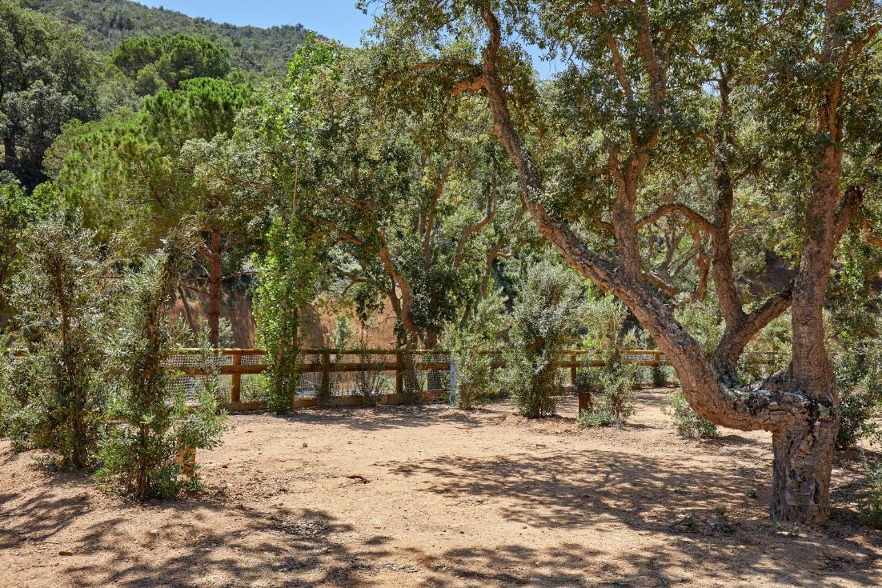 Pola Giverola Camp Тоса де Мар Екстериор снимка