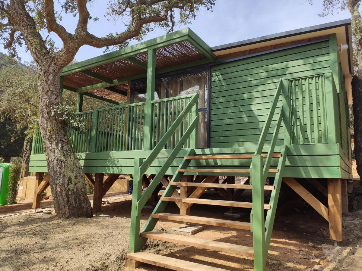 Pola Giverola Camp Тоса де Мар Екстериор снимка