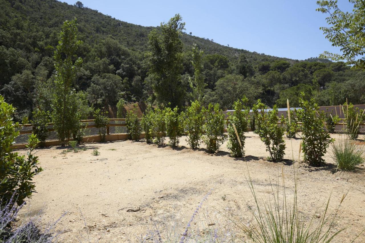 Pola Giverola Camp Тоса де Мар Екстериор снимка
